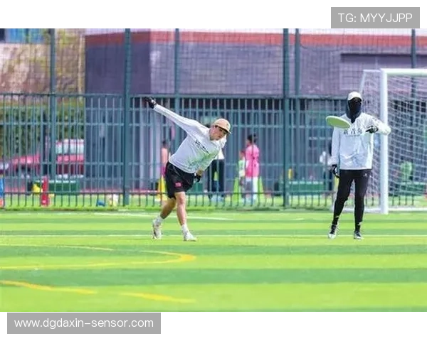 成都飞盘队的崛起与发展探秘力量背后的故事与挑战