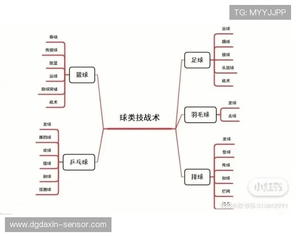 成都足球队快攻战术解析：如何在瞬息万变的比赛中掌控节奏与机会